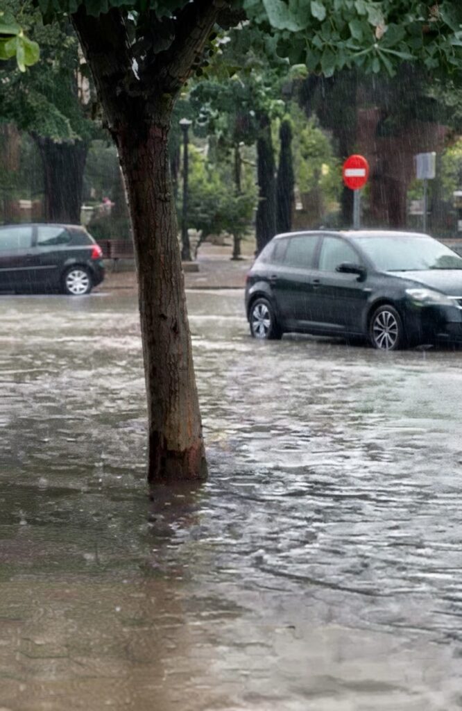 Elche se moja: 33 litros por metro cuadrado y varios cortes de tráfico por la lluvia