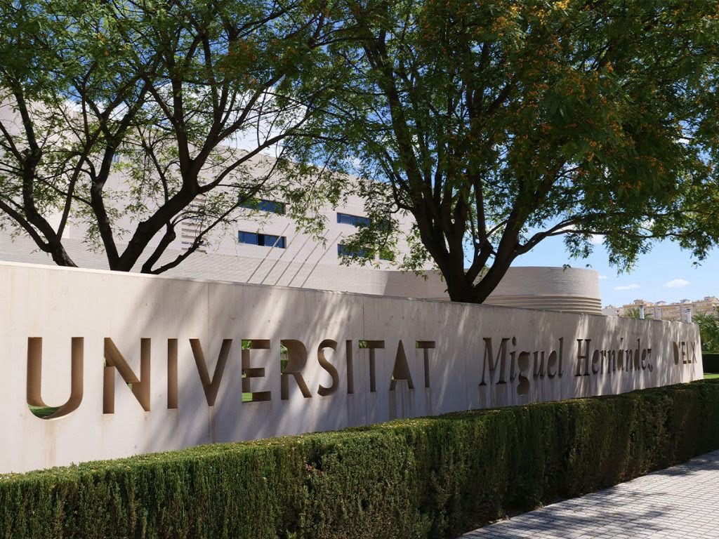 La UMH de Elche se sitúa entre las 300 mejores universidades del mundo en Salud Pública