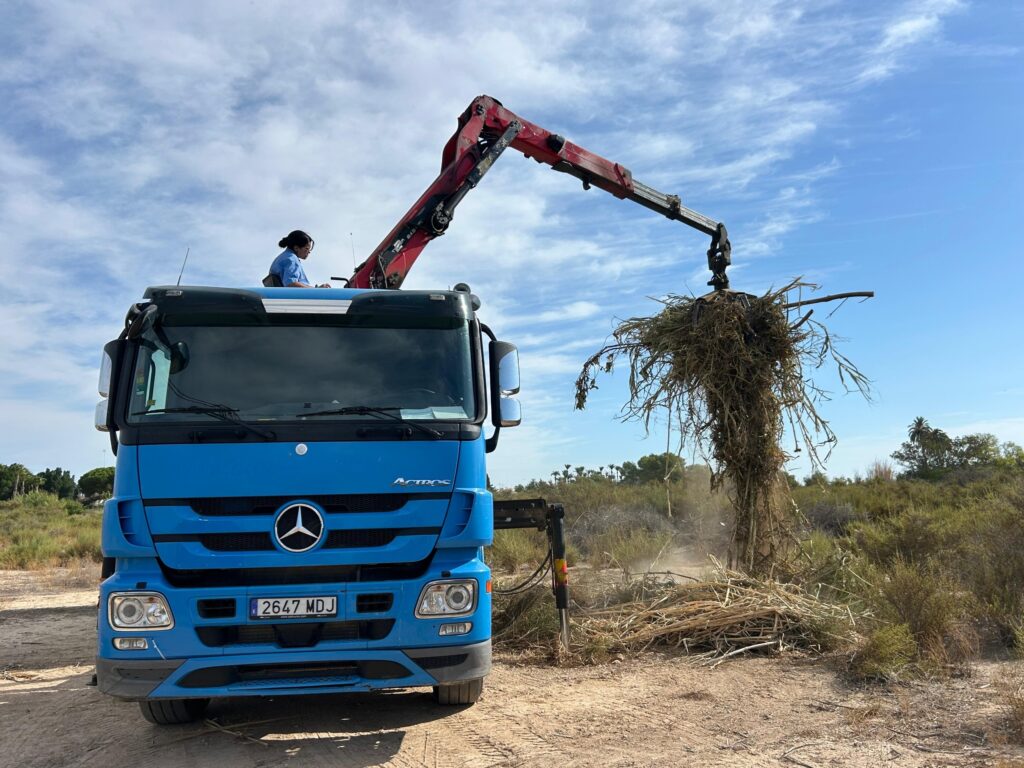 Elche retira más de 139 toneladas de sedimentos y restos de poda de sus barrancos