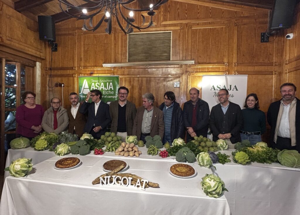 El Camp d’Elx prevé alcanzar los 24 millones de kilos en la campaña de hortalizas de invierno de 2026