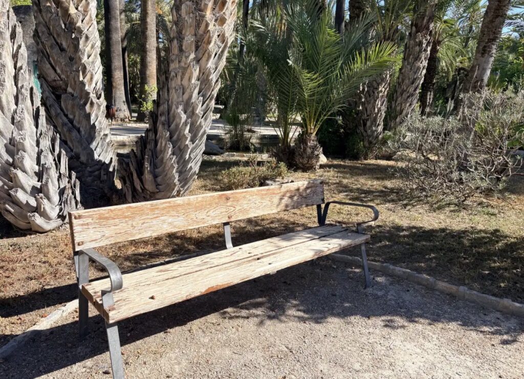 El PSOE critica el abandono del Parque de Tráfico de Elche y reclama al Ayuntamiento una actuación urgente