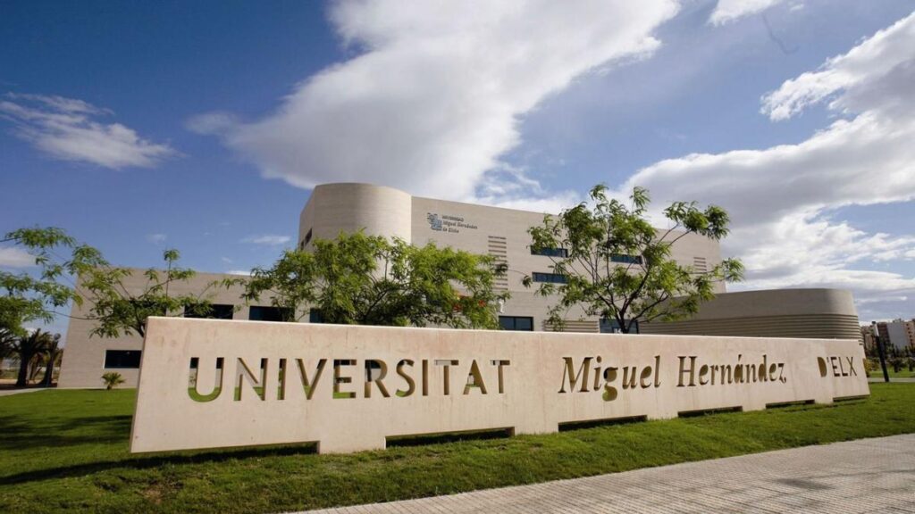 El campus de Elche de la UMH acoge la XL edición del Cross Escolar y Popular Ilicitano