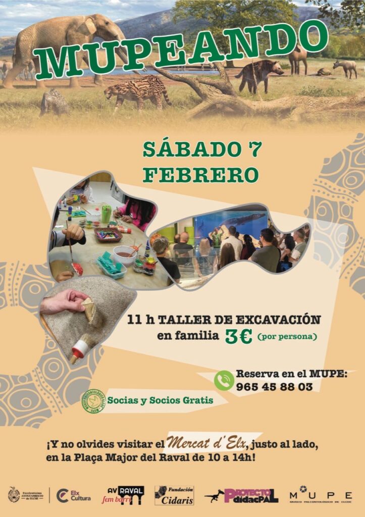 El Museo Paleontológico de Elche retoma el programa MUPEANDO con talleres familiares