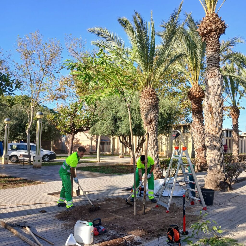 Elche amplía el mantenimiento de sus zonas verdes con actuaciones en varios puntos de la ciudad