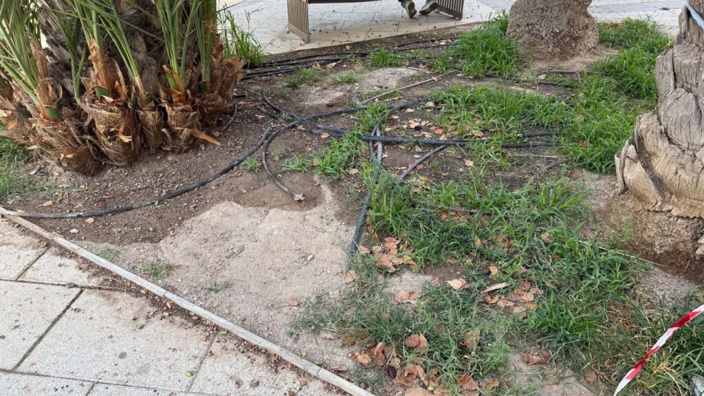 El PSOE critica que el 90 % de las horas extra de Parques y Jardines se destinaran al centro de Elche en 2024