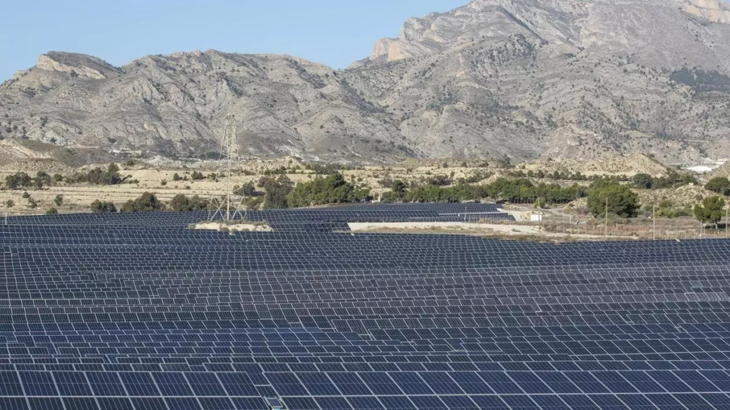 Colectivos ciudadanos presentan alegaciones contra la macroplanta solar Lucinala en el Campo de Elche por su impacto ambiental y agrícola